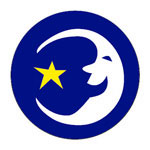 button vrolijke maan met ster | KleineButtons.nl