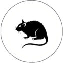 button rat | KleineButtons.nl