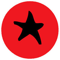 button zwarte ster op rood | KleineButtons.nl